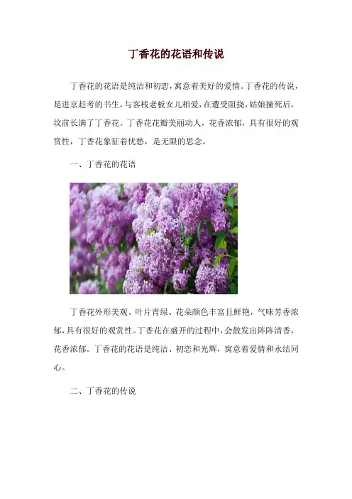 丁香花的花语和传说