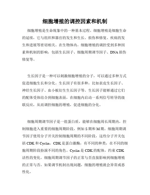 细胞增殖的调控因素和机制