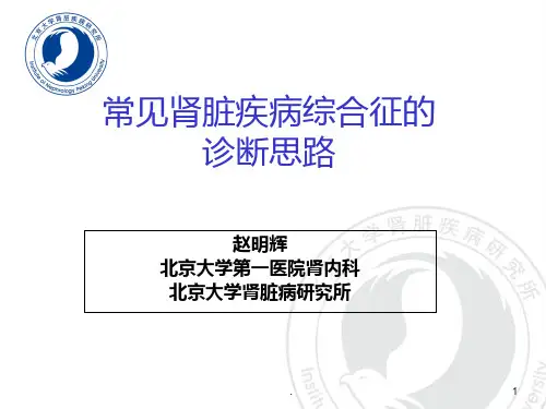 肾病的诊断思路(幻灯片)ppt课件
