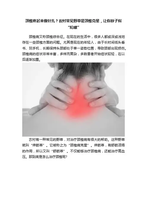 颈椎疼起来像针扎？农村常见野草是颈椎克星，让你脖子似“陀螺”