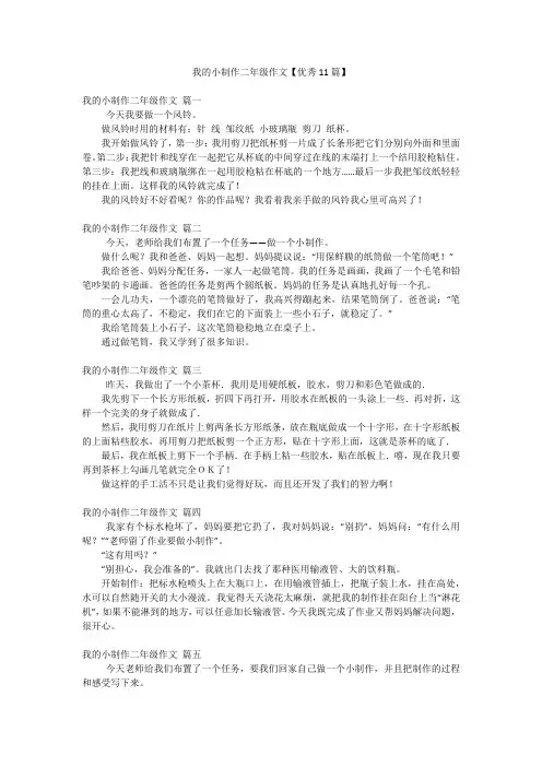 我的小制作二年级作文【优秀11篇】