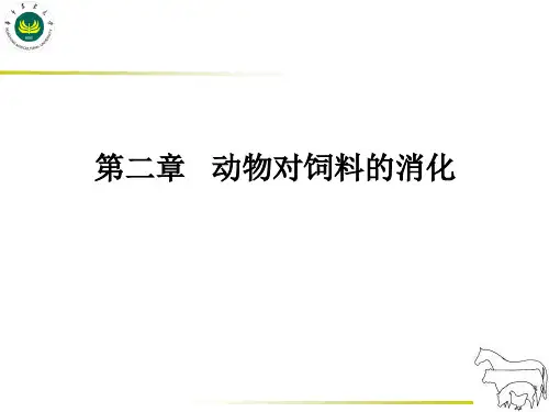 第二章动物对饲料的消化