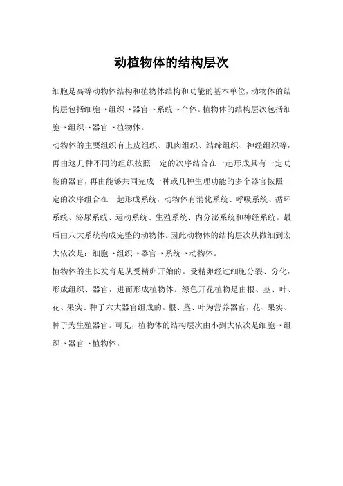 动植物体的结构层次