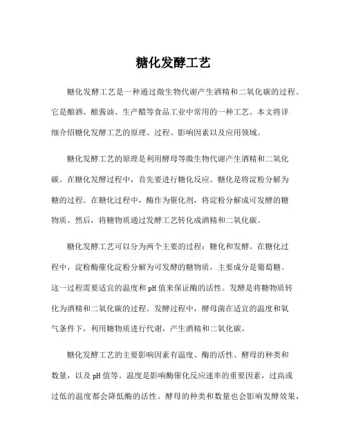 糖化发酵工艺