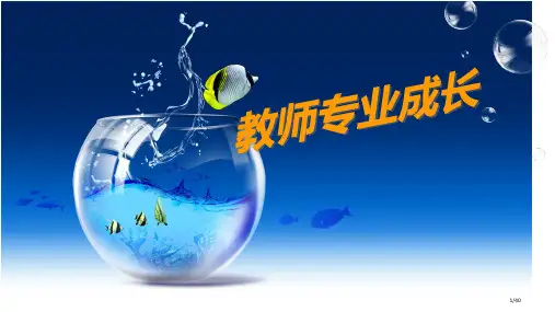 教师的专业成长省公开课一等奖全国示范课微课金奖PPT课件