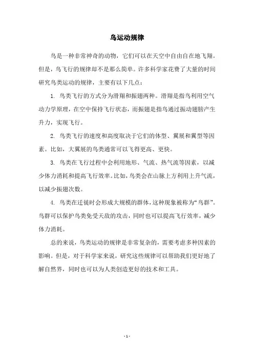 鸟运动规律