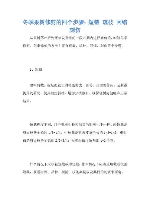 冬季果树修剪的四个步骤：短截 疏枝 回缩 刻伤