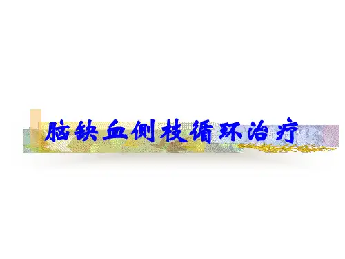脑缺血侧枝循环治疗