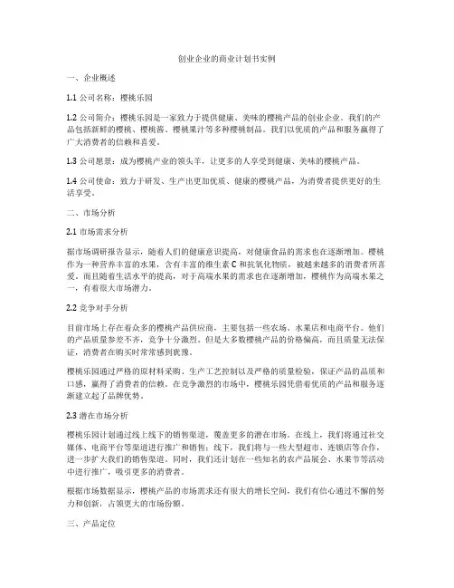 创业企业的商业计划书实例