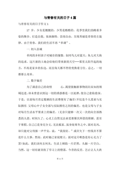 与青春有关的日子4篇