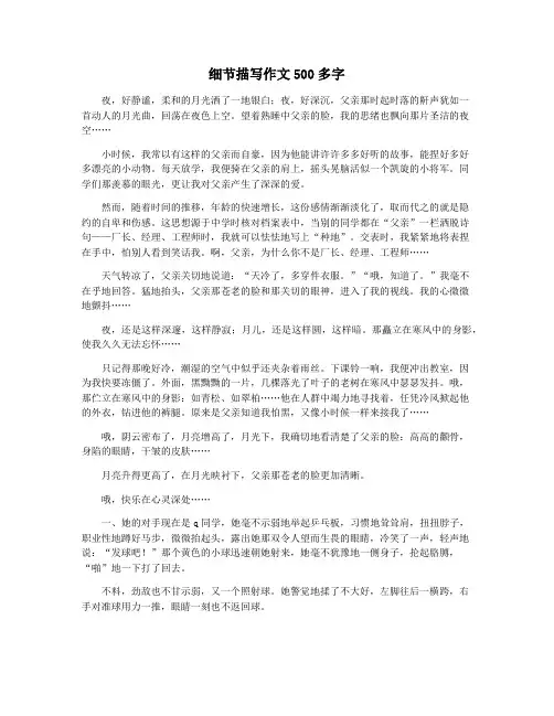 细节描写作文500多字