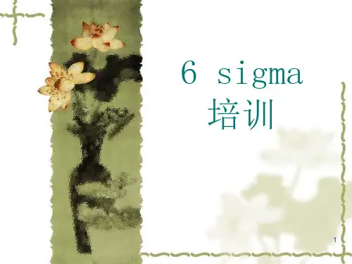 6SIGMA培训全套资料(PPT_247页)