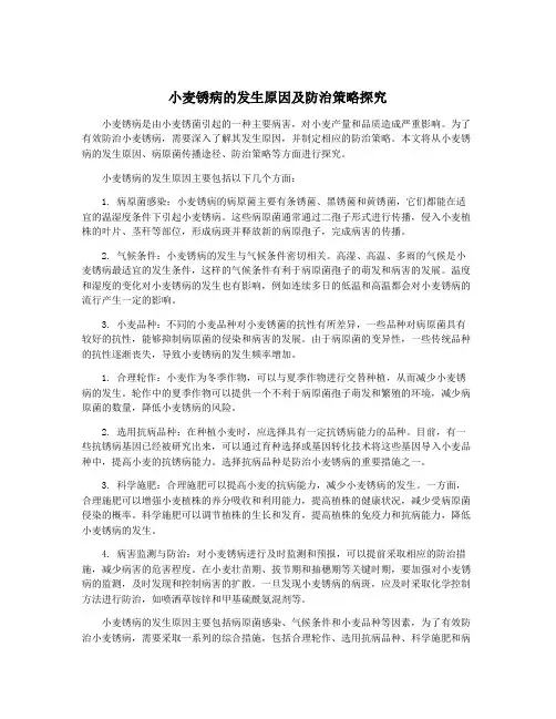 小麦锈病的发生原因及防治策略探究
