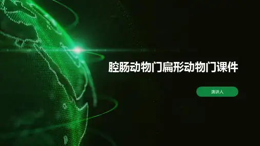 腔肠动物门扁形动物门课件