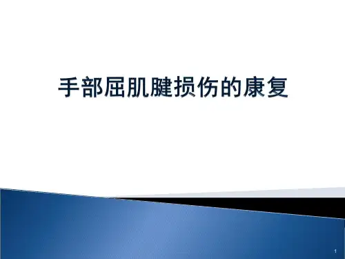 手部屈肌腱损伤康复剖析ppt课件【60页】