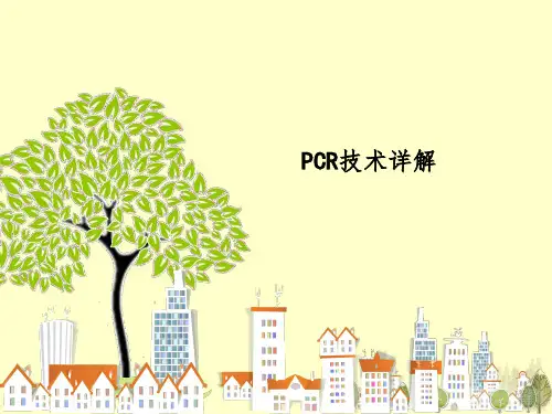 PCR技术详解课件PPT