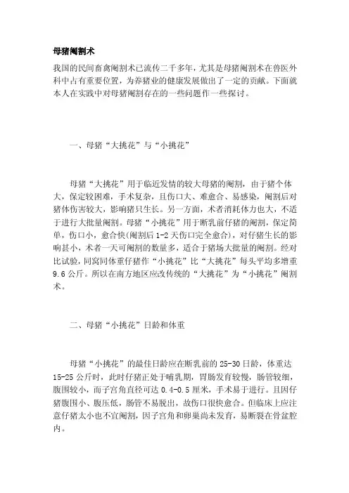 母猪阉割术[大成]