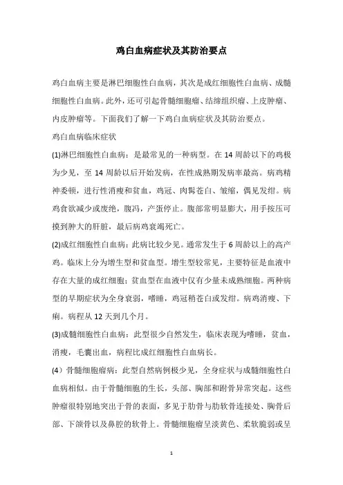 鸡白血病症状及其防治要点