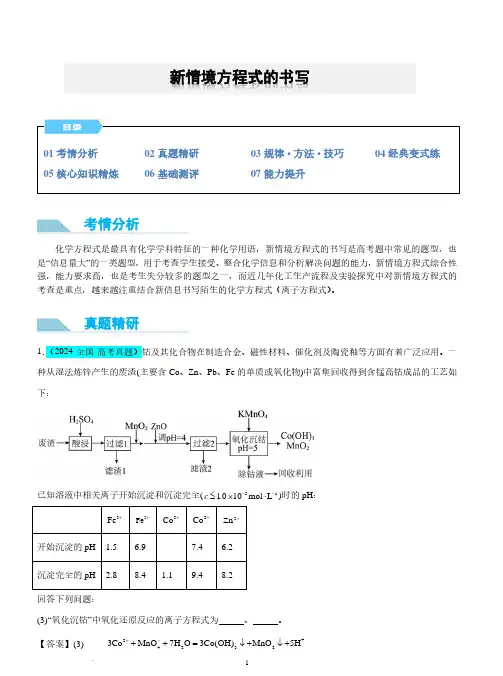 新情境方程式的书写--2025年高考化学微专题(解析版)