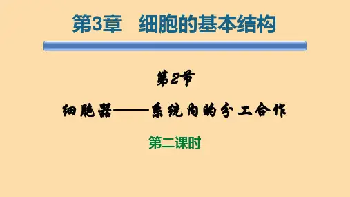 新教材高中生物公开课课件(细胞器——系统内的分工合作)