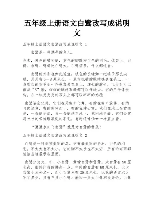 五年级上册语文白鹭改写成说明文