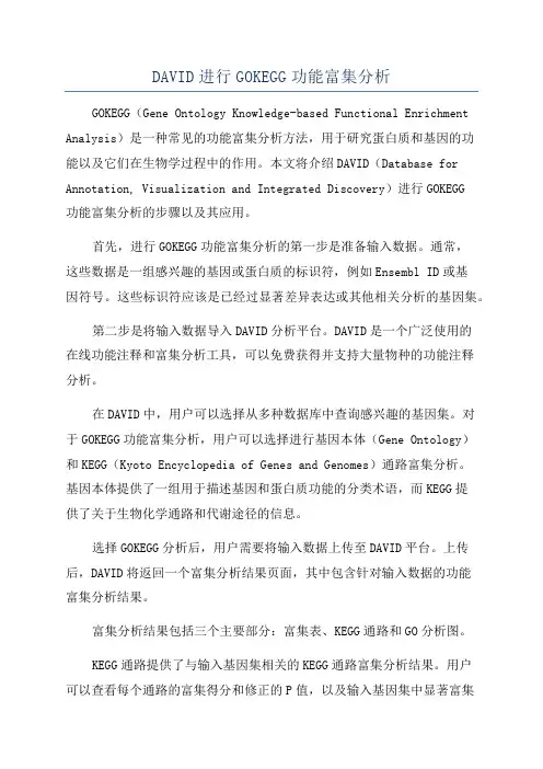 DAVID进行GOKEGG功能富集分析