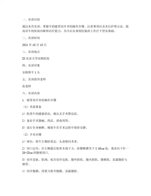 牛的瘤胃切开术实训报告