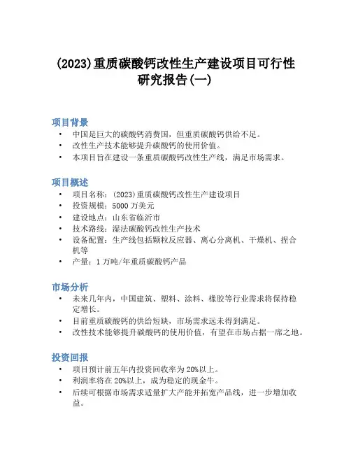 (2023)重质碳酸钙改性生产建设项目可行性研究报告(一)