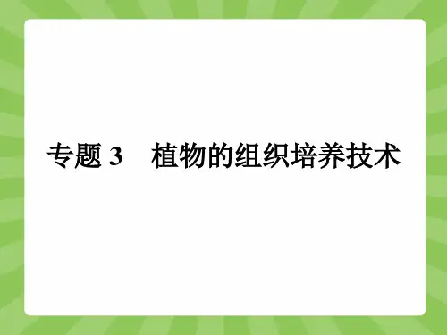 2018秋生物选修1课件：3.1 菊花的组织培养