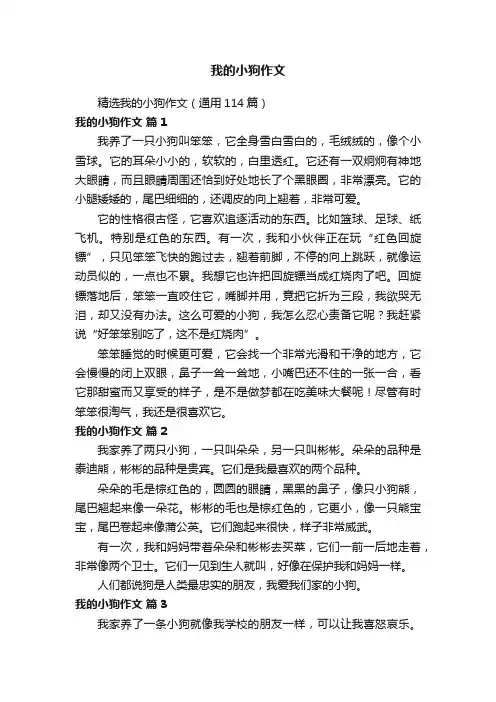 精选我的小狗作文（通用114篇）