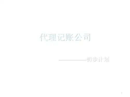 代理记账公司策划(初步)PPT课件
