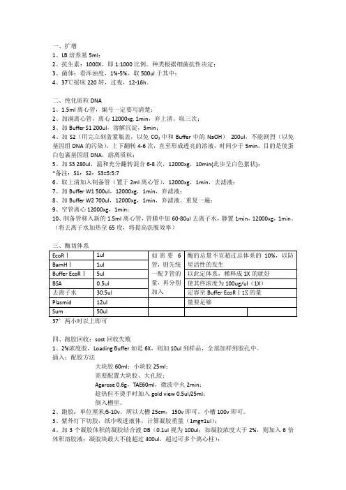 分子克隆(亚克隆)实验总体流程详解