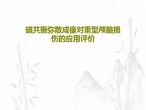 磁共振弥散成像对重型颅脑损伤的应用评价共36页文档