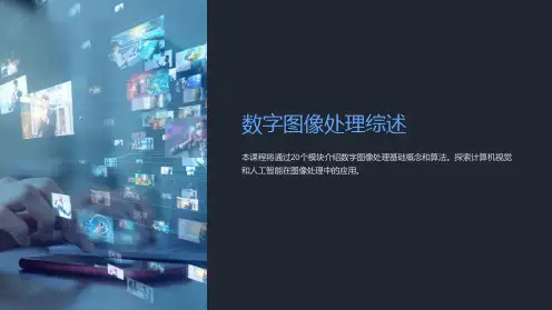 《数字图像处理综述》课件