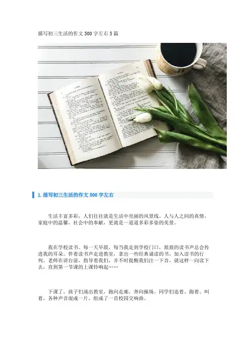 描写初三生活的作文500字左右5篇 