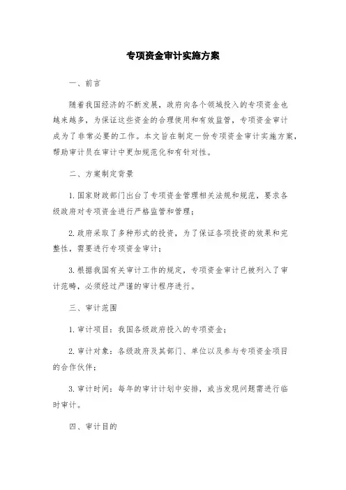 专项资金审计实施方案