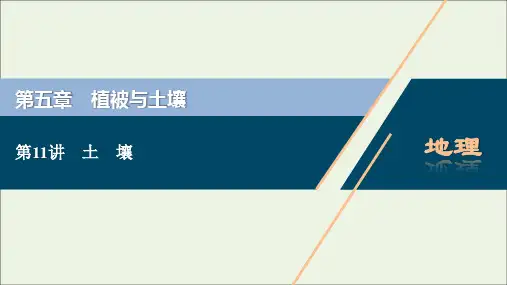 新教材高考地理一轮复习第五章植被与土壤第11讲土壤课件新人教版