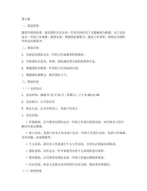团队年终总结策划书范文(3篇)