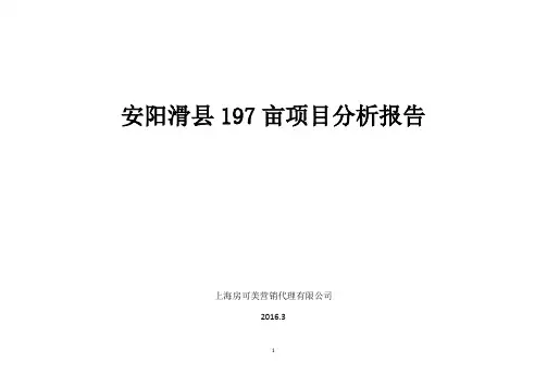 安阳滑县项目报告(DOC)