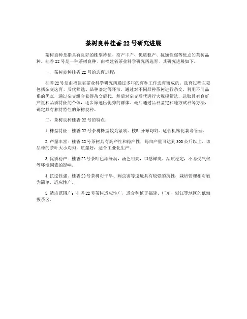 茶树良种桂香22号研究进展