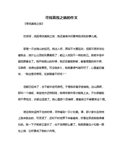 寻找真我之旅的作文