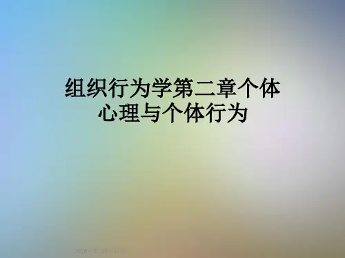 组织行为学第二章个体心理与个体行为