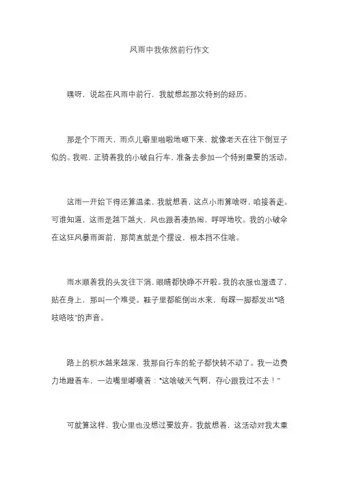 风雨中我依然前行作文
