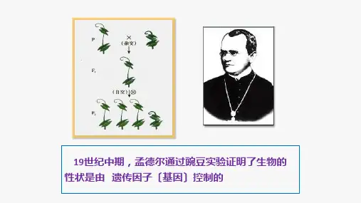 高中生物微课：肺炎双球菌的转化实验优秀课件