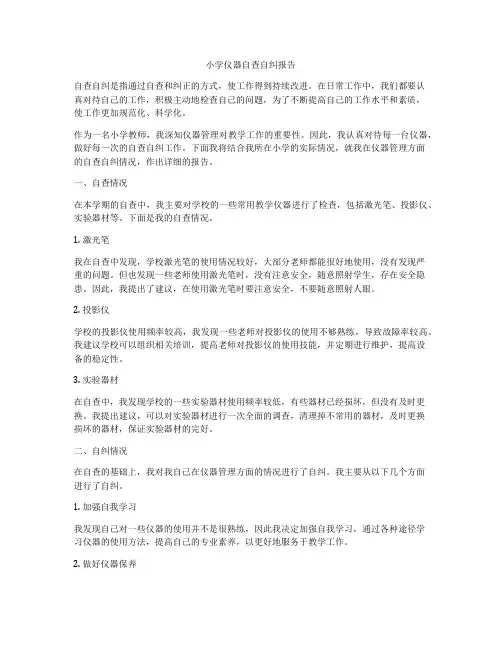 小学仪器自查自纠报告