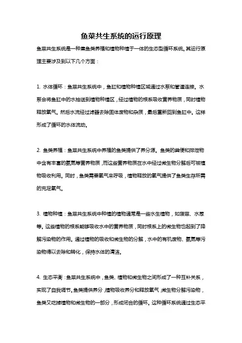 鱼菜共生系统的运行原理