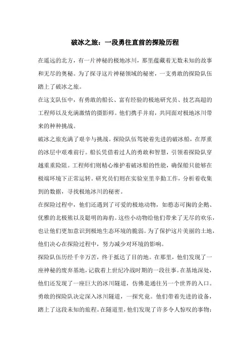 破冰之旅：一段勇往直前的探险历程
