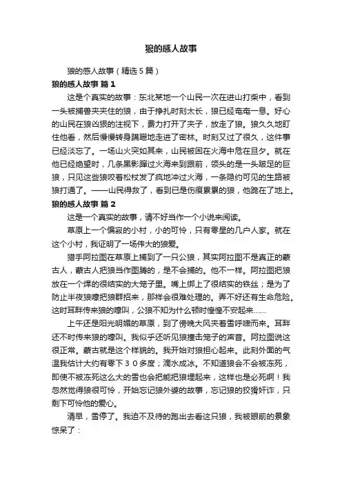 狼的感人故事（精选5篇）