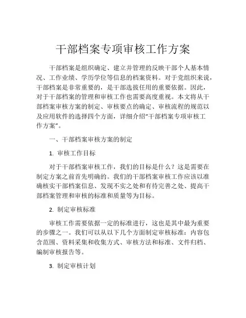 干部档案专项审核工作方案