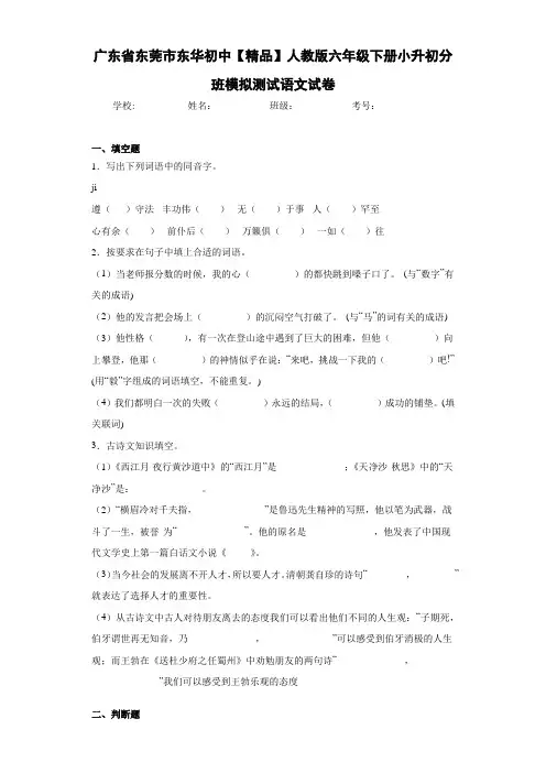 东华初中人教版六年级下册小升初分班模拟测试语文试卷(含答案解析)